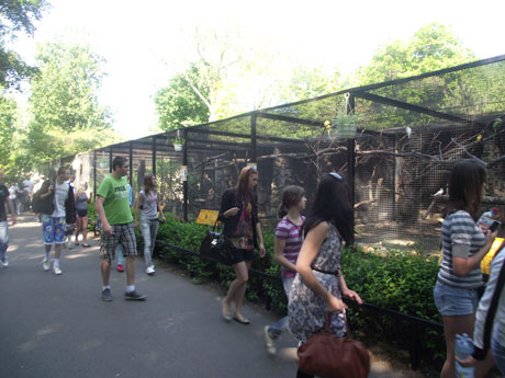 Dzieci w ogrodzie zoologicznym